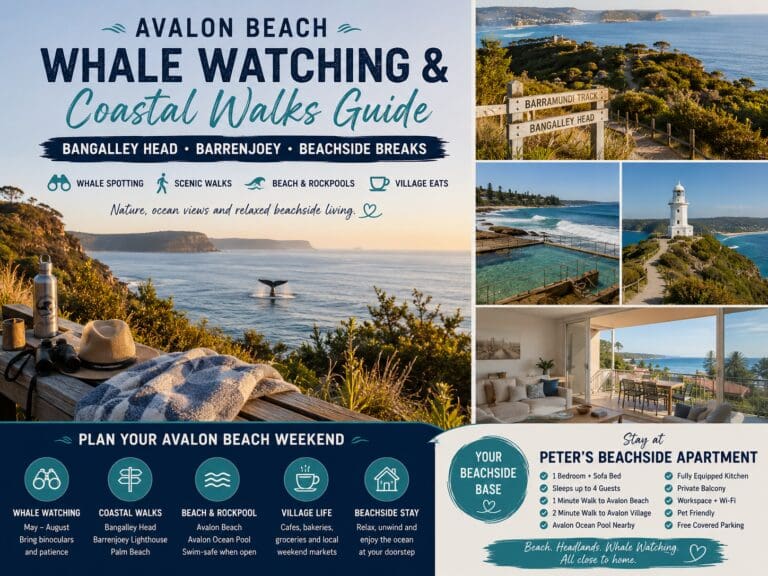 Featured image for an Avalon Beach whale watching and coastal walks guide, showing Northern Beaches headlands, ocean views, whale watching, Avalon Rockpool and a nearby beachside stay.