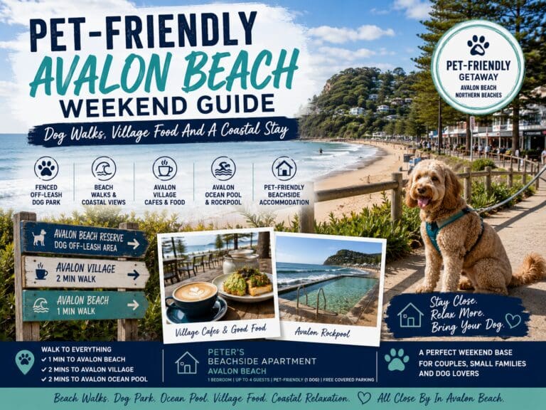 Featured image for a pet-friendly Avalon Beach weekend guide, showing a relaxed Northern Beaches coastal stay with dog-friendly beach, village and ocean pool cues.