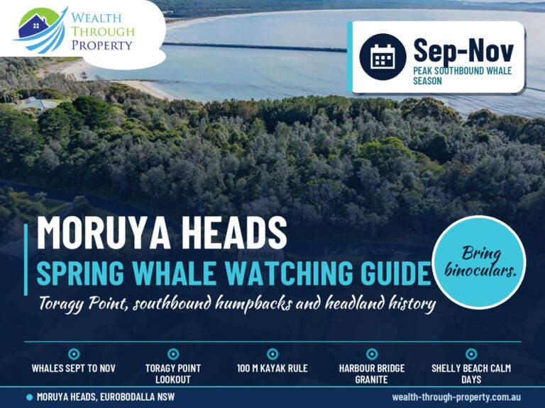Moruya Heads whale watching cover: aerial of the coast at Moruya Heads with spring whale guide title and highlights