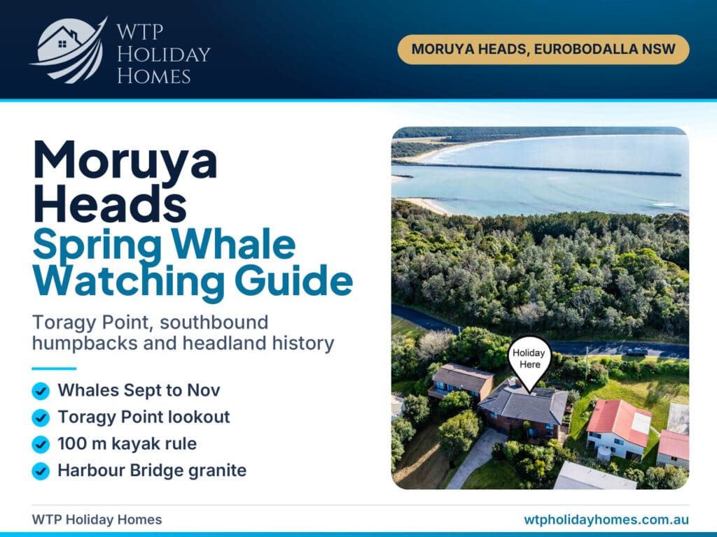 Moruya Heads whale watching cover: aerial of the coast at Moruya Heads with spring whale guide title and highlights